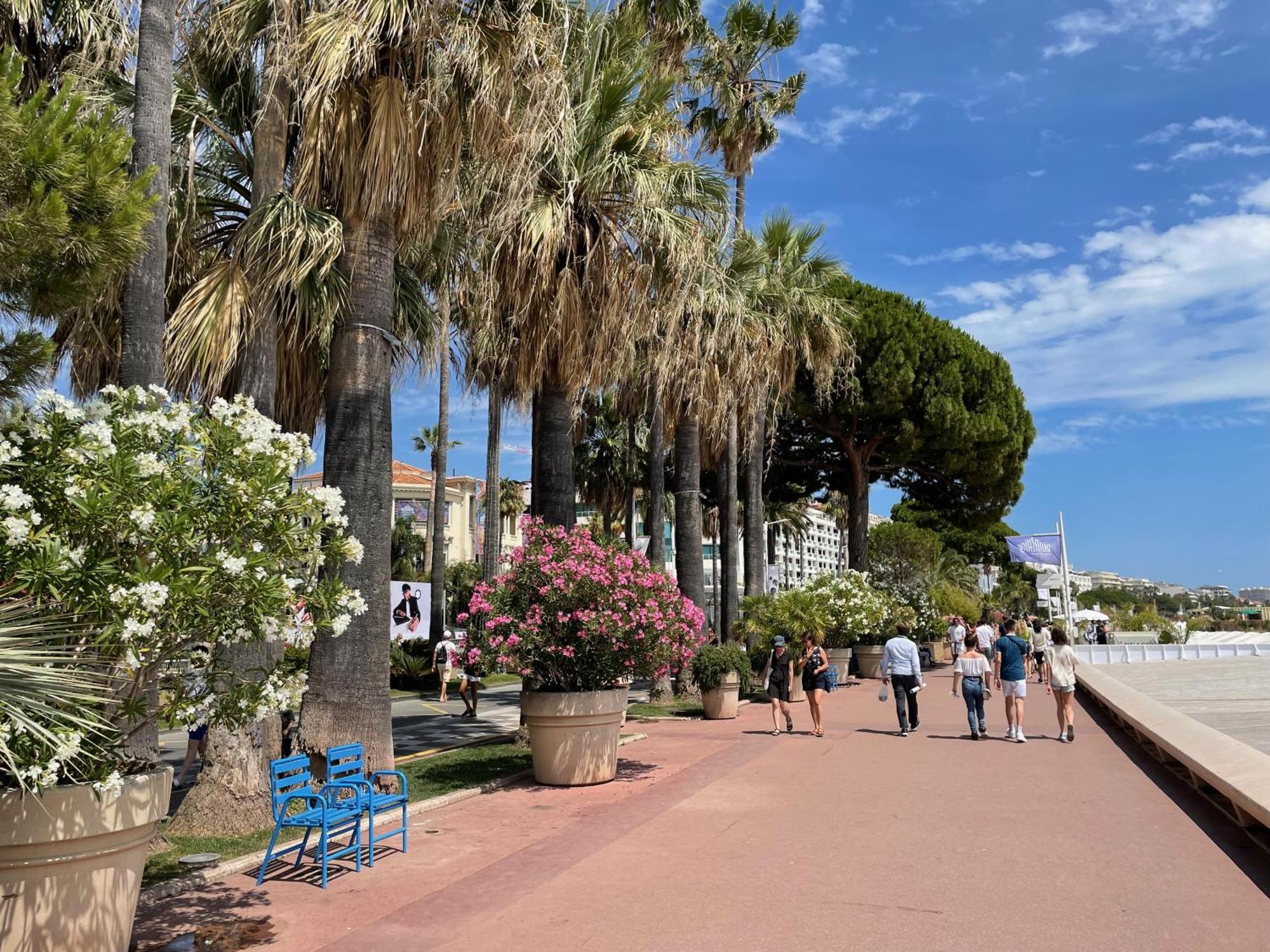 Beautiful Apartment Cannes Center Terrace Parking Zewnętrze zdjęcie